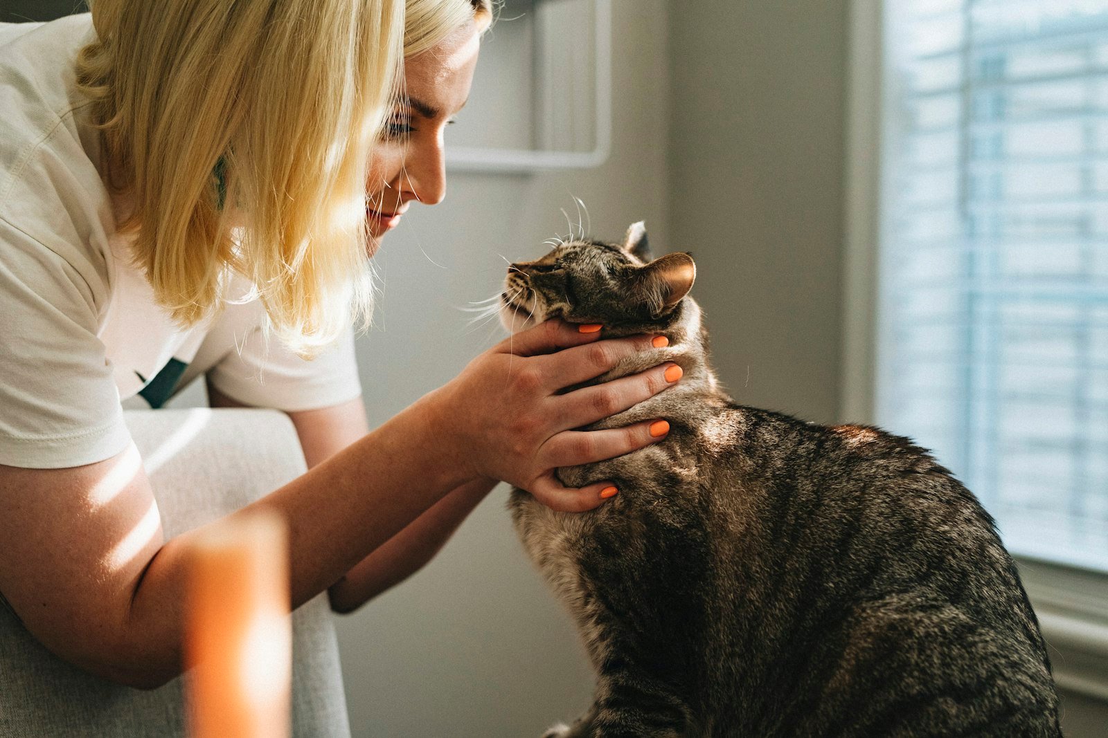 On-farm care for pets